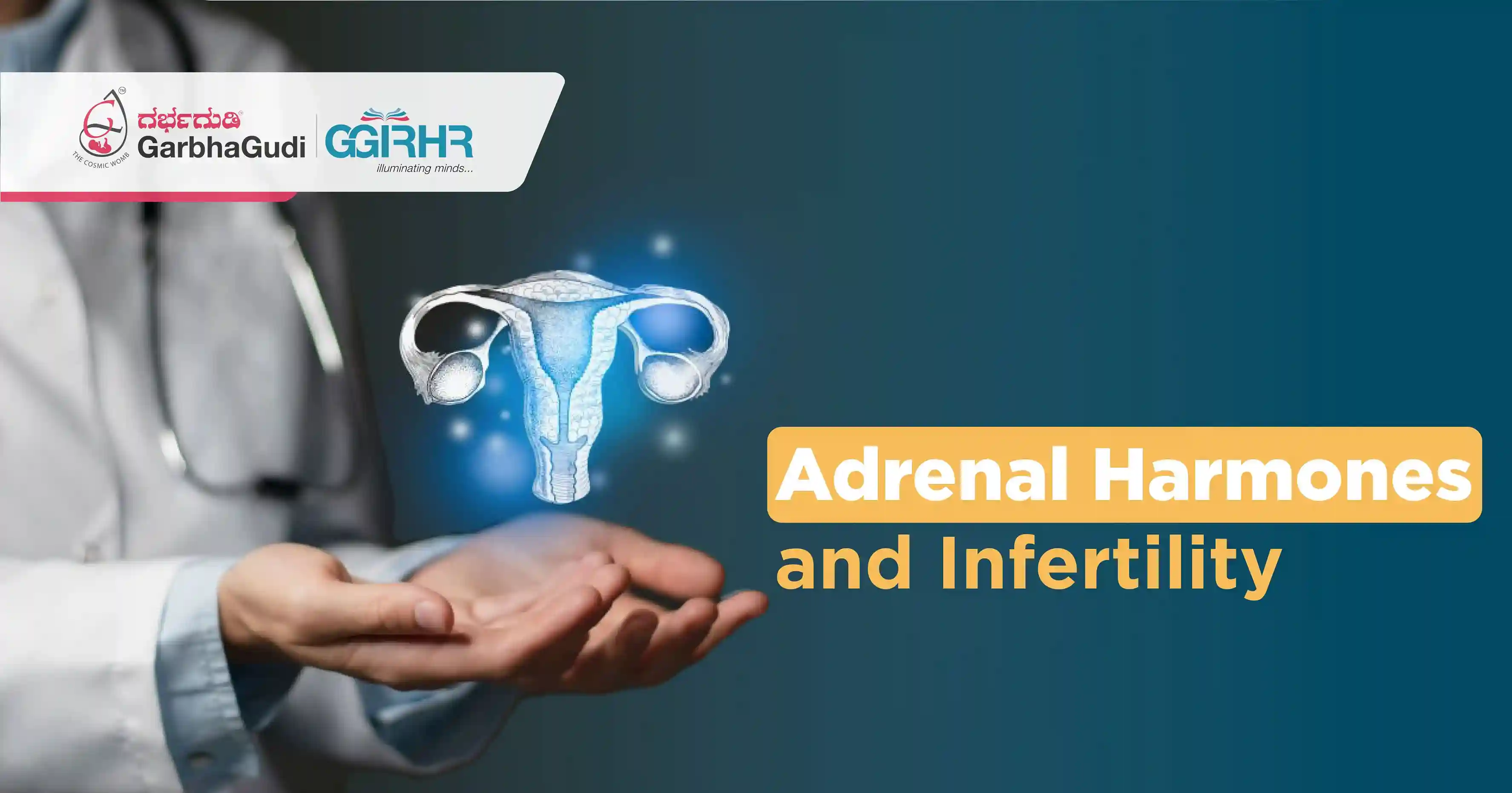 Adrenal Hormones and Infertility