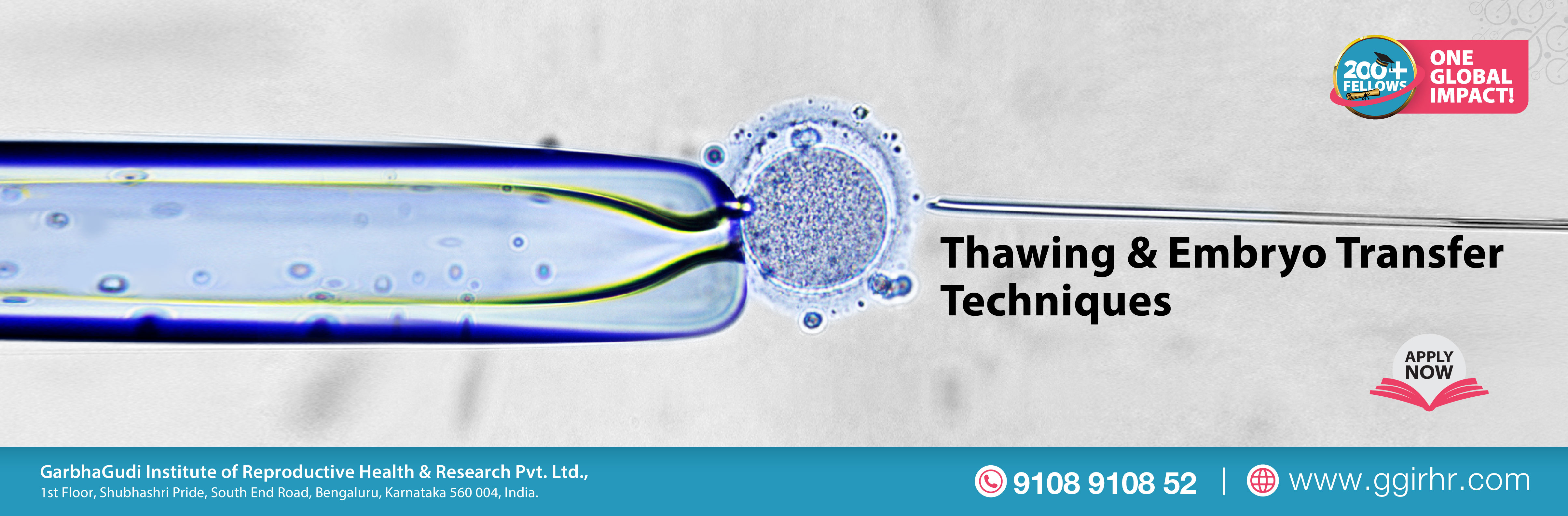 Thawing and Embryo Transfer Techniques