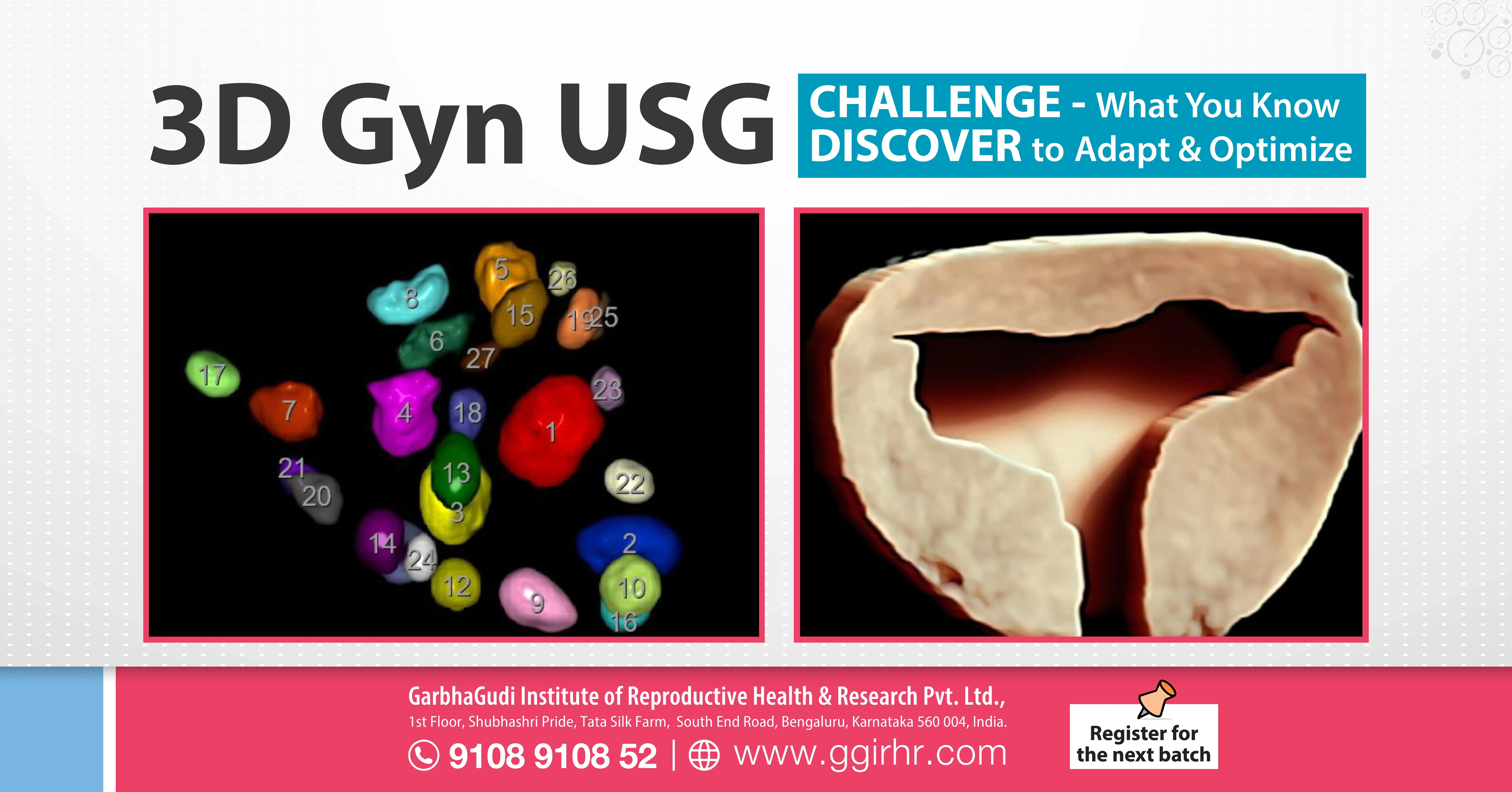 3D Gyn USG Workshop