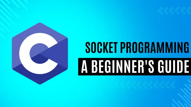 Beginner's Guide to Socket Programming in C: Step-by-Step Explanation