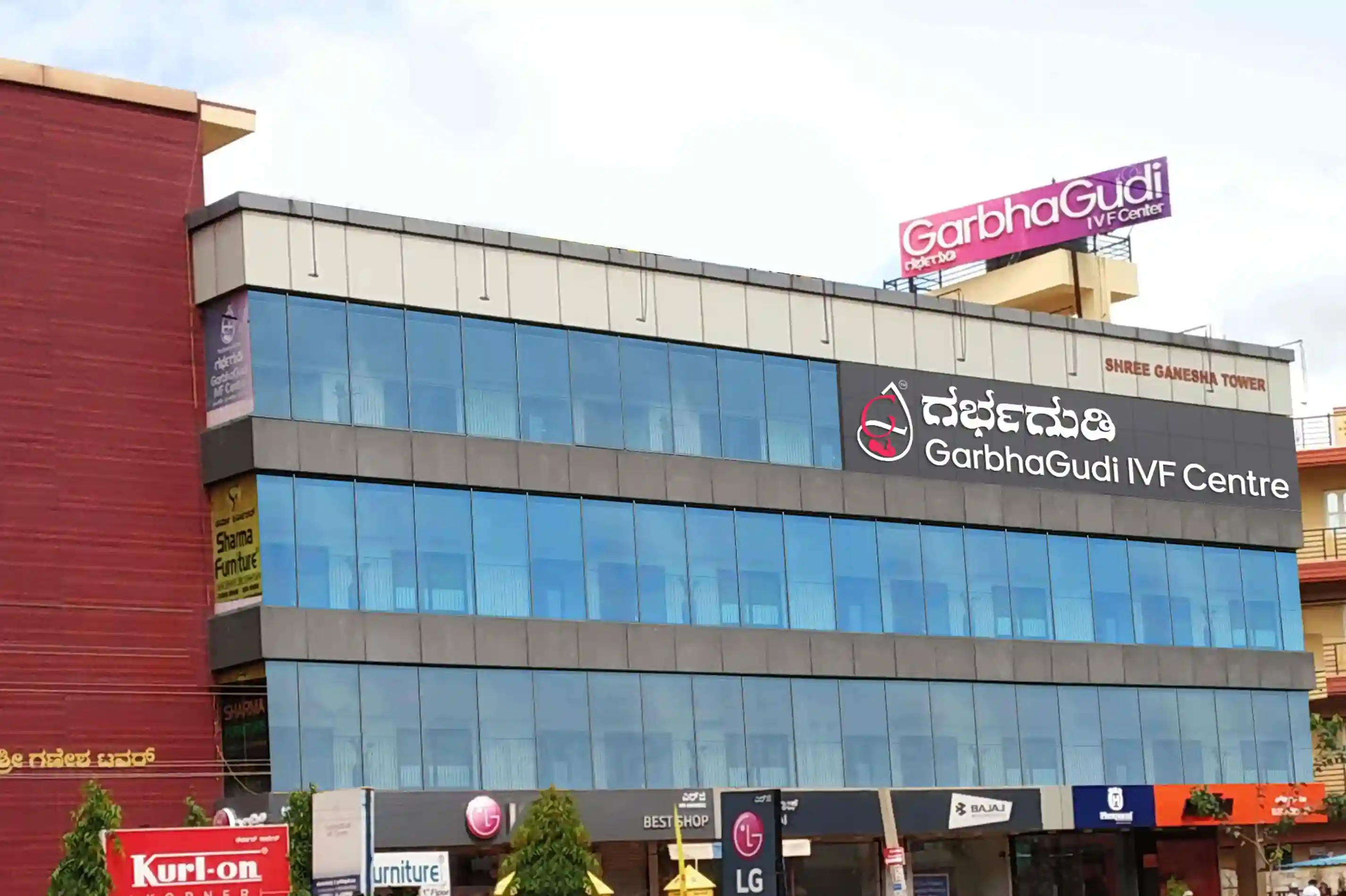 Electronic City