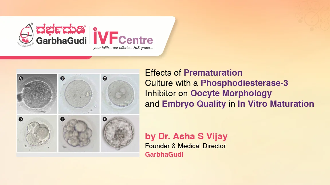 Effects of prematuration culture with a phosphodiesterase-3 inhibitor on oocyte morphology and embryo quality in in vitro maturation