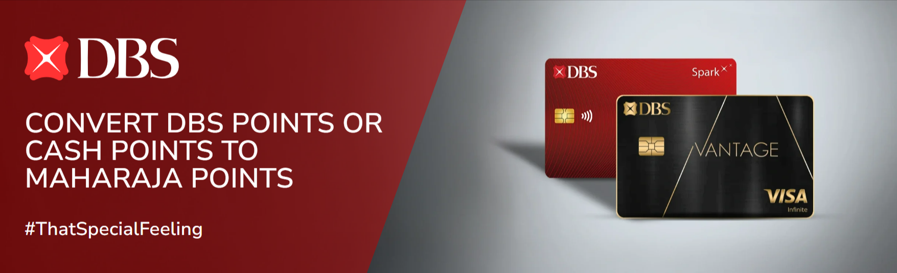 Air India DBS SS.png