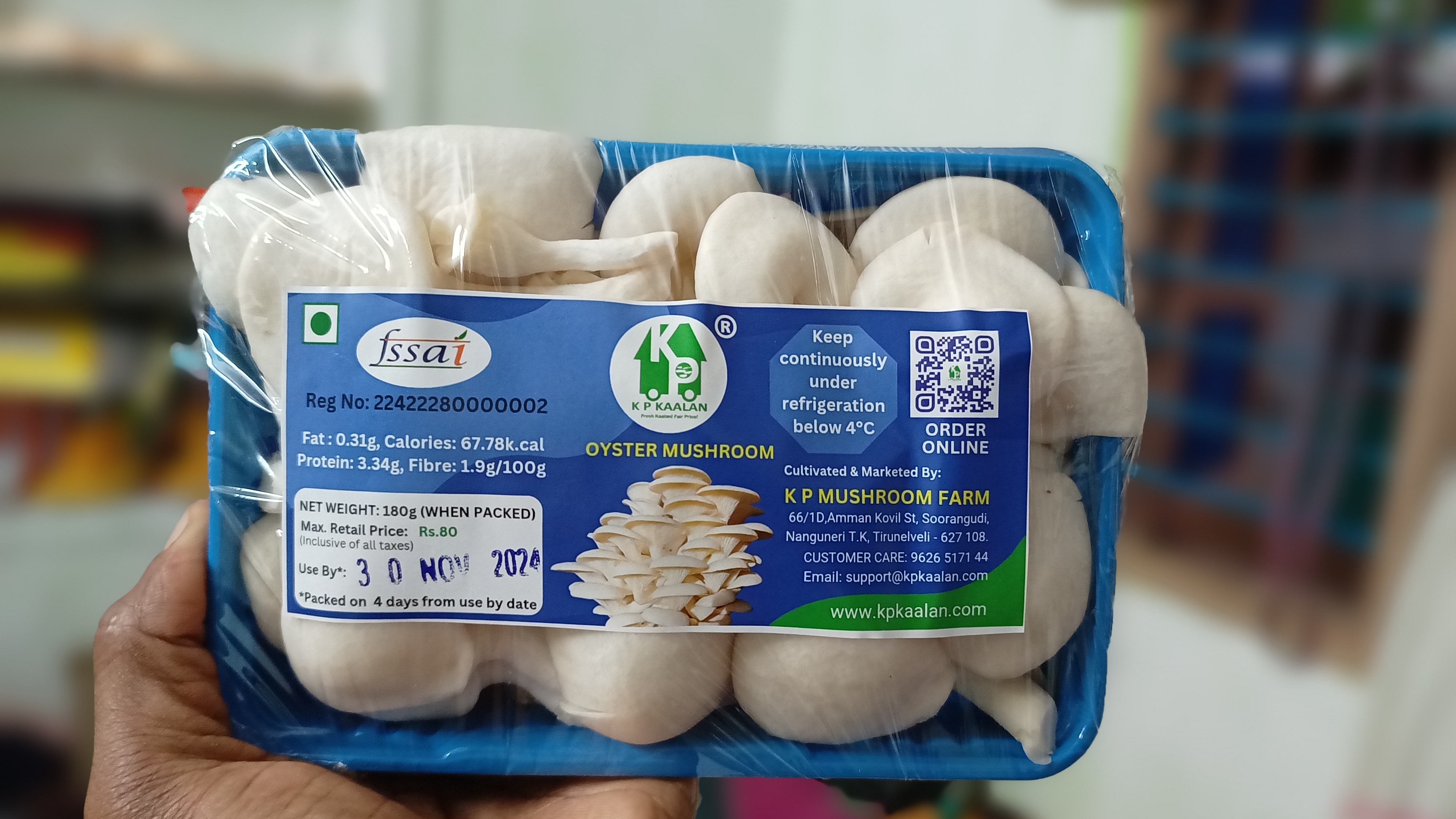 Oyester Mushroom