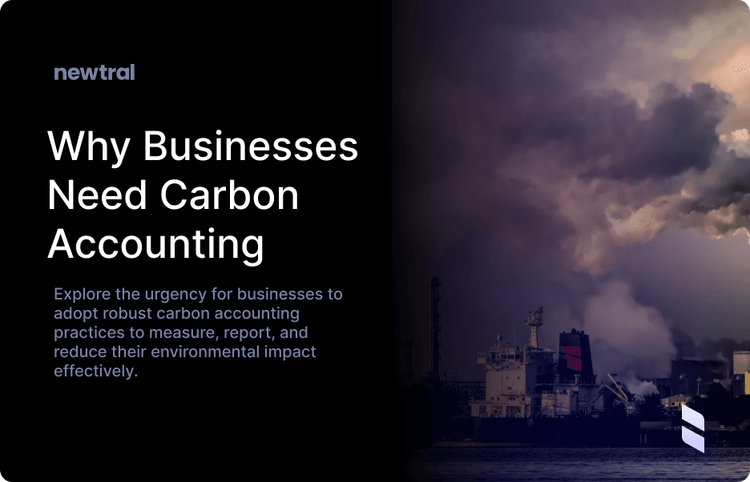 The Carbon Reckoning: Why Every Business Needs to Embrace Carbon Accounting Now