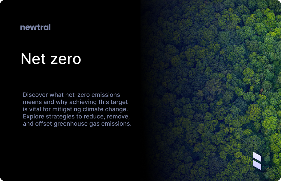 Net zero