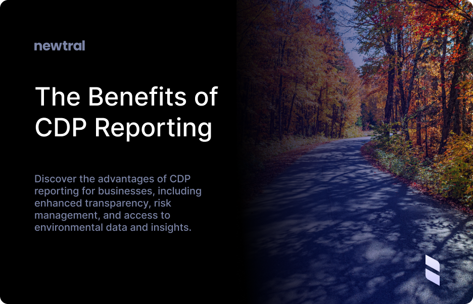 The Benefits of CDP Reporting for Businesses