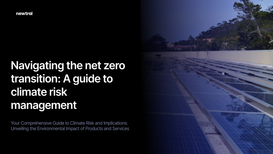 Navigating the Net Zero Transition: A Guide to Climate Risk Management