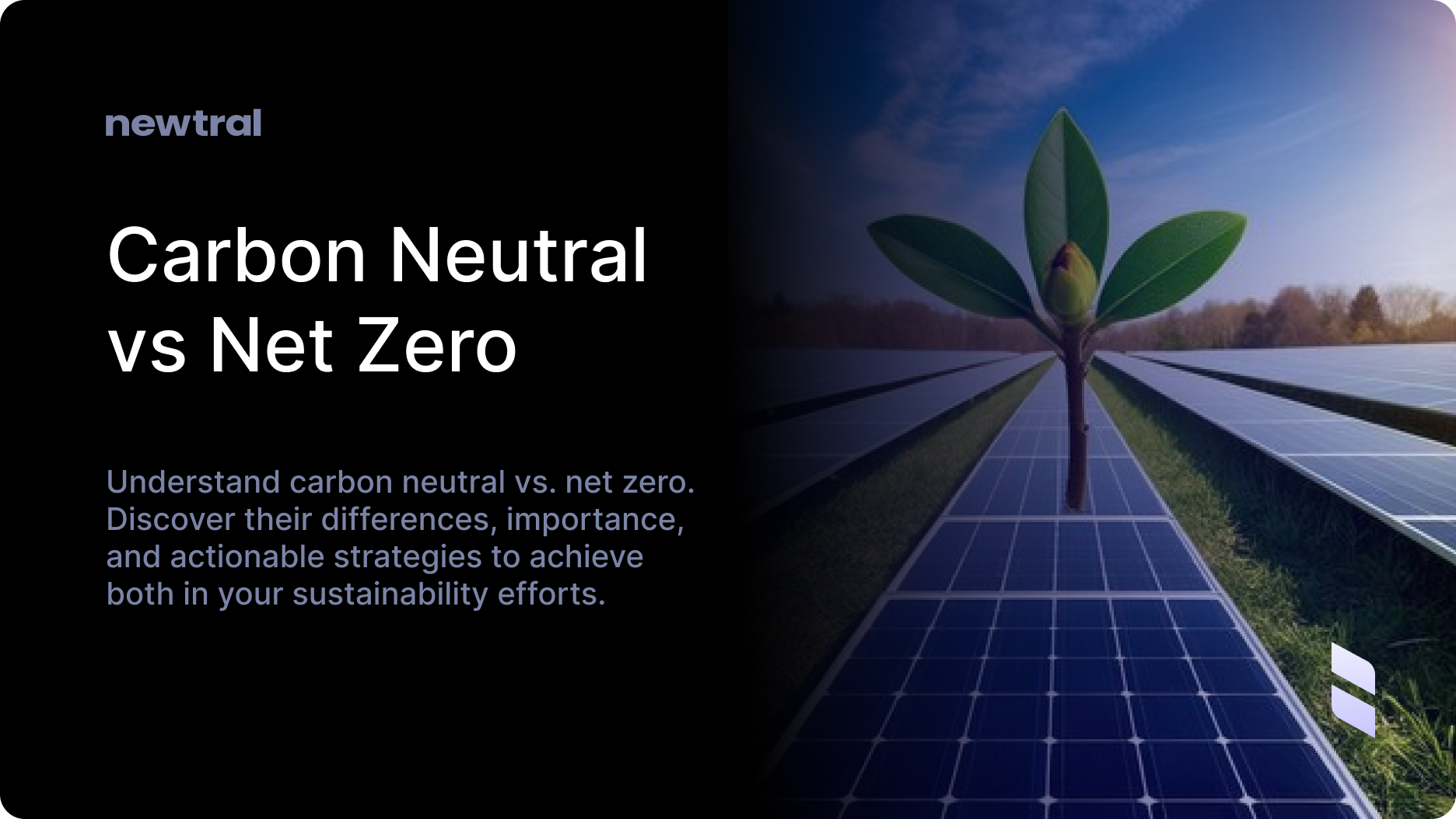 Carbon Neutral vs. Net Zero: Key Differences Explained for Your Sustainability Strategy