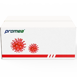 Viral Transport Medium