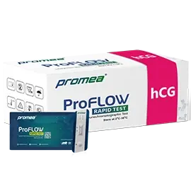 Proflow Box hCG