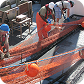Premium HDPE pipes and coils