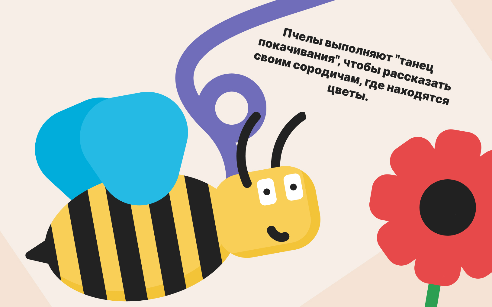 kak-obshautsja-pchely.jpg