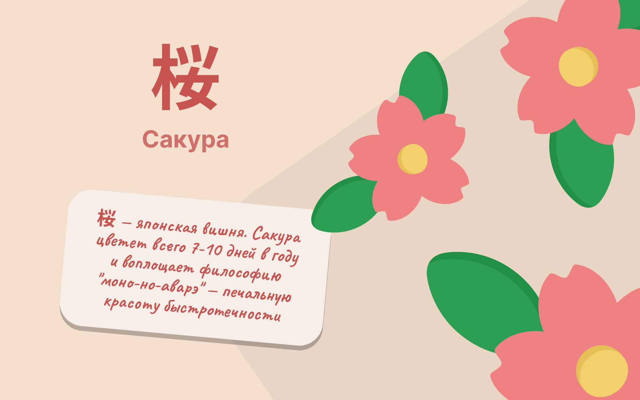 znachenie-slova-sakura.jpg
