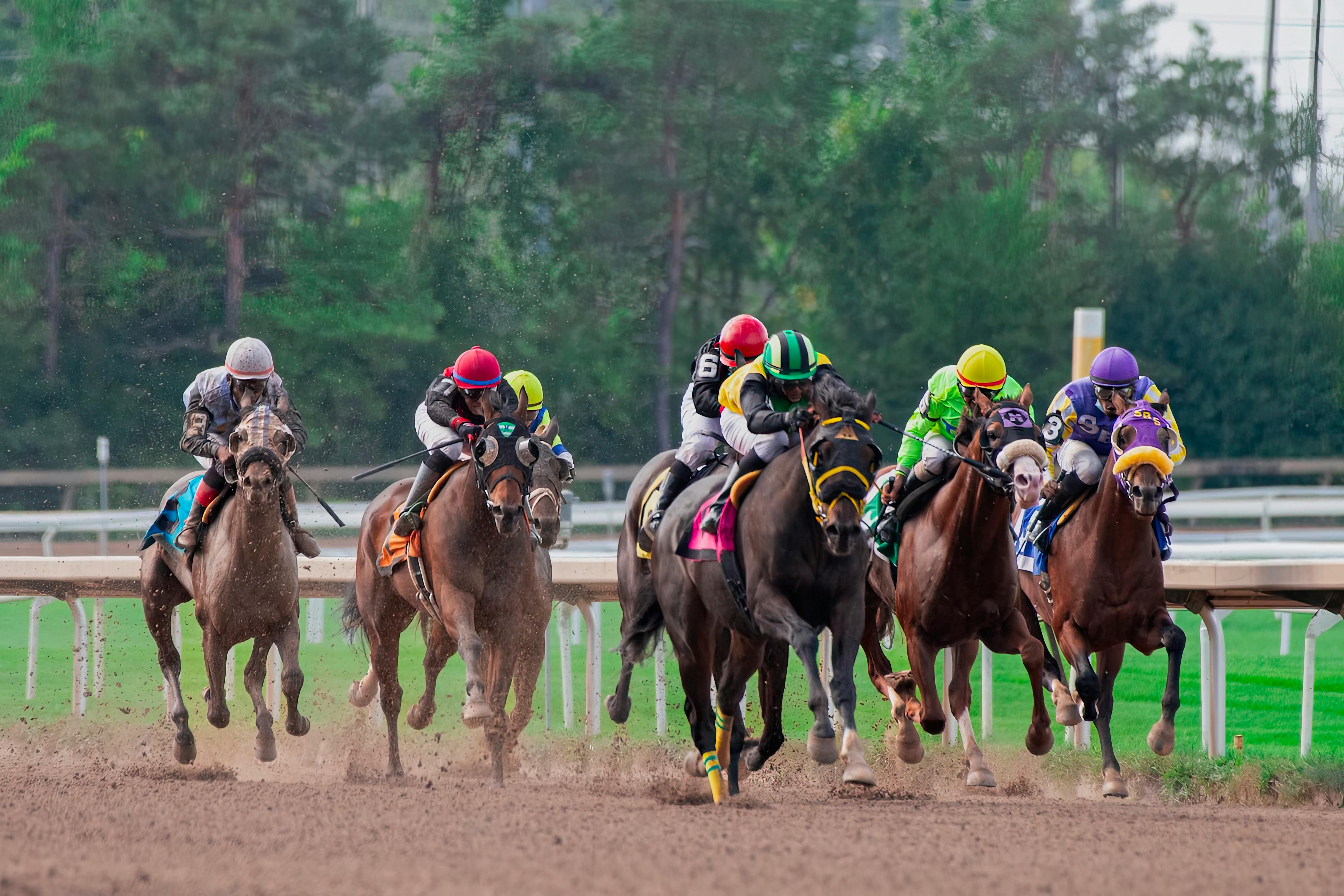 Horse Racing