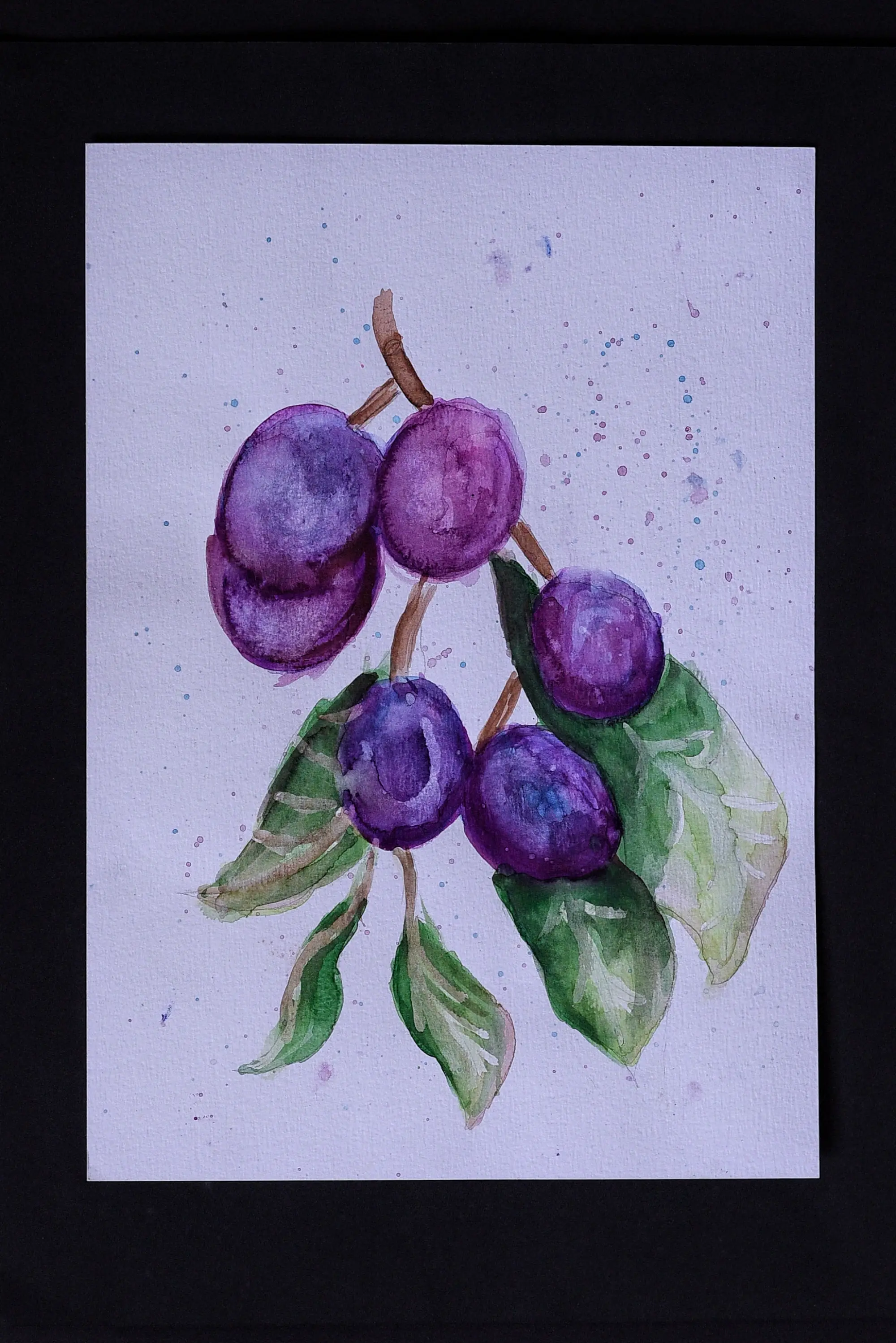 Purple Plums