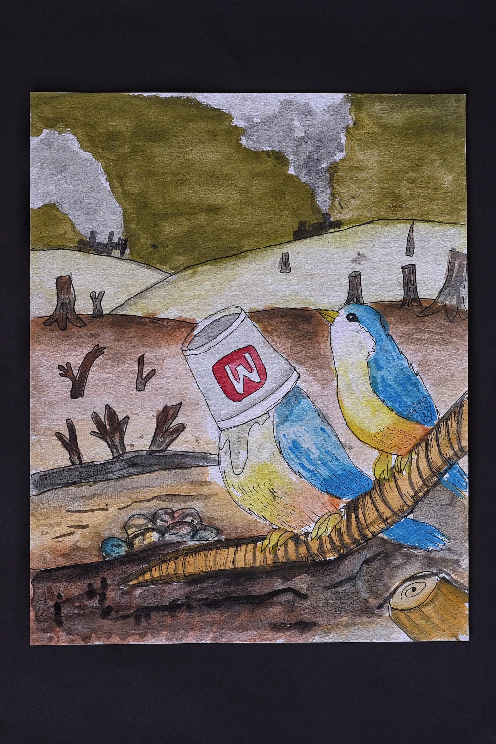 Birds in a Polluted World