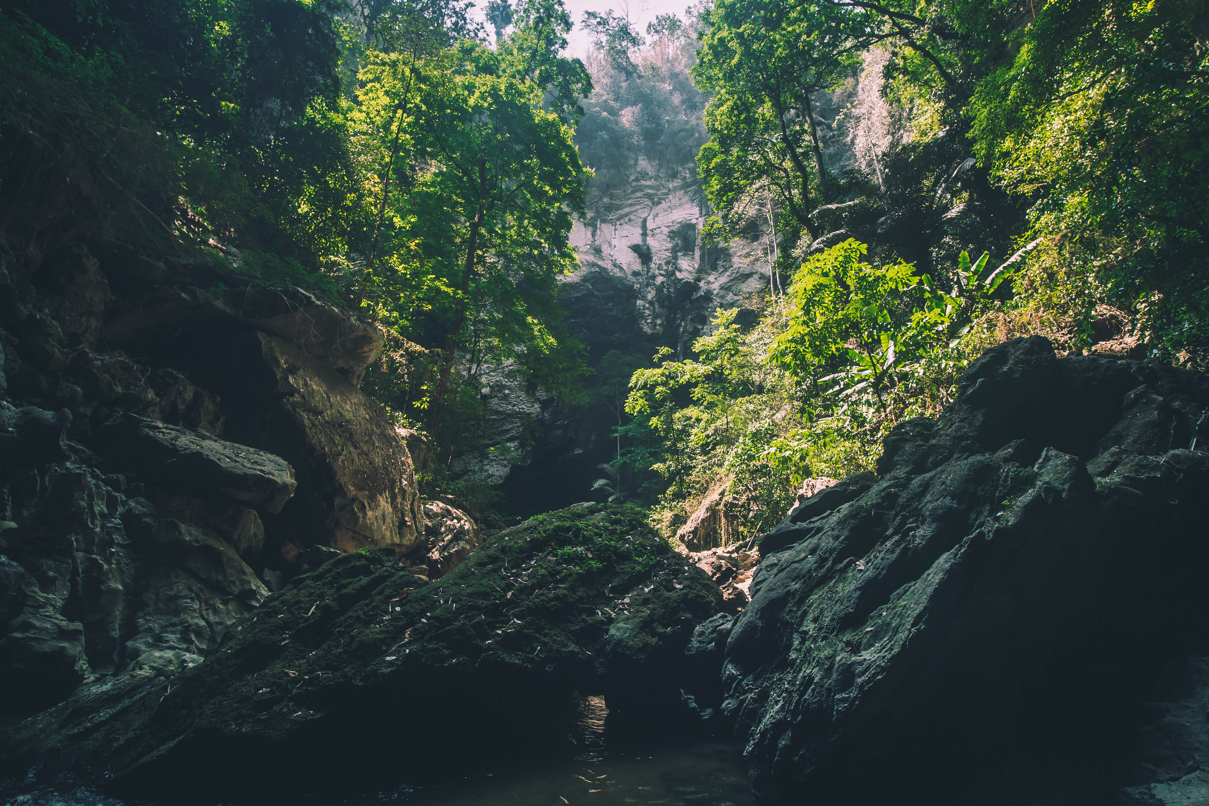 Image1
