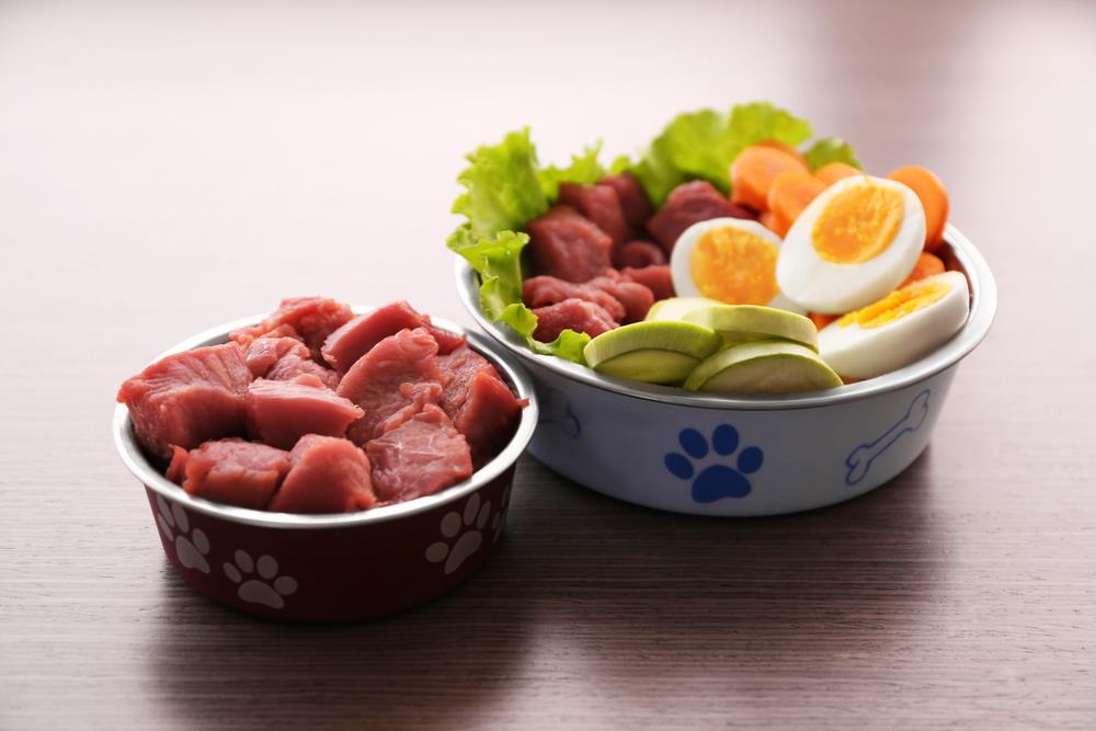 Raw Food Diet for Pets: Benefits, Risks & What You Need to Know