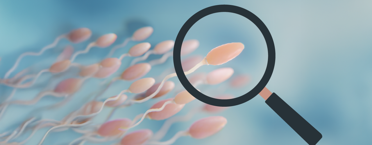 MACS Treatment: Advanced Sperm Selection for IVF Success