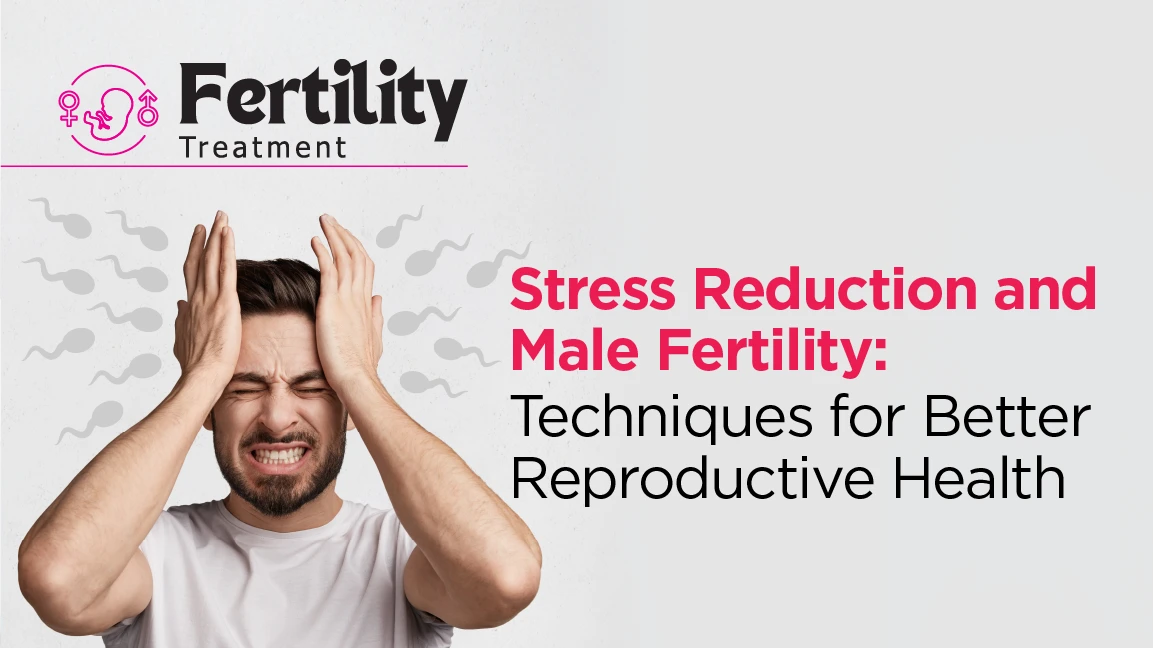 The Role of Stress Reduction Techniques in Enhancing Male Fertility