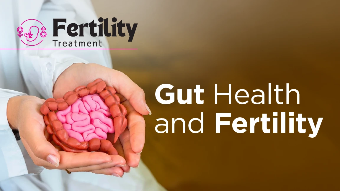 The Link Between Gut Health and Fertility: How Your Microbiome Affects Conception