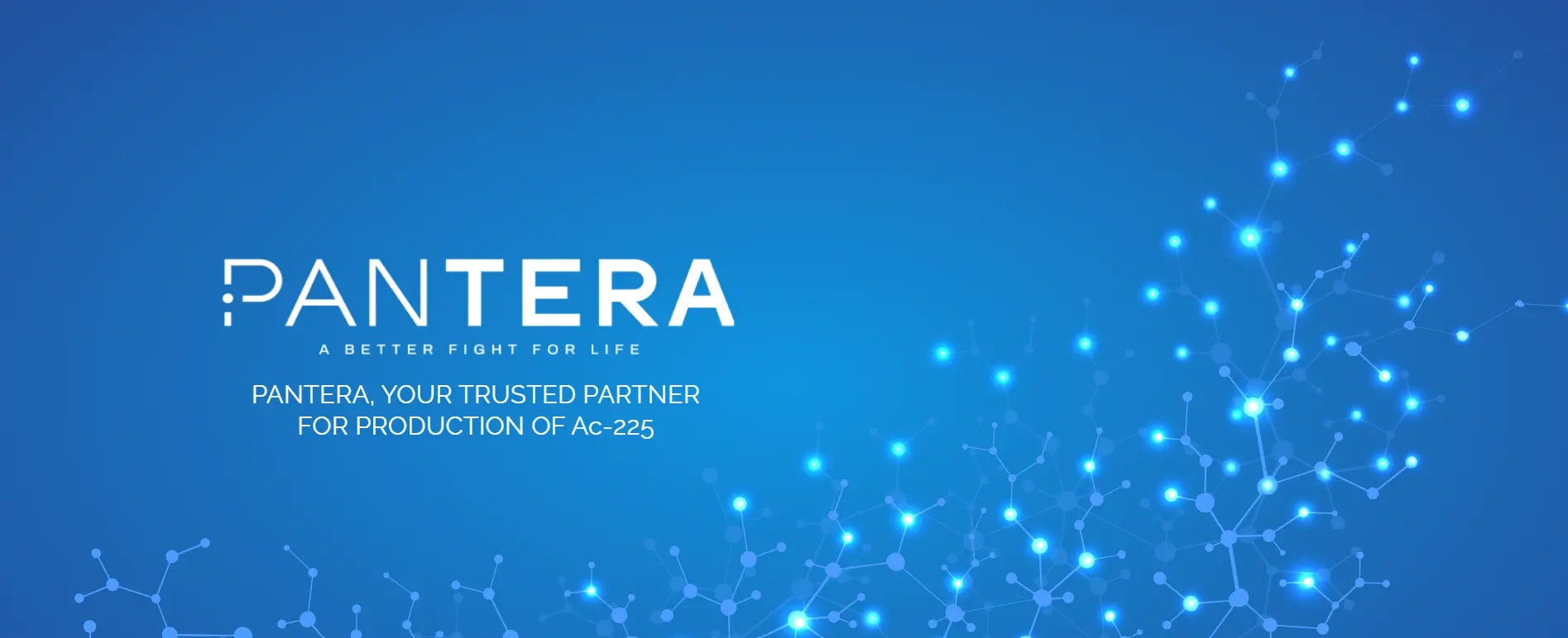Pantera blue banner