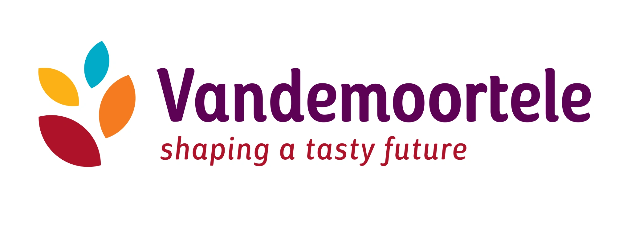 VANDEMOORTELE Logo