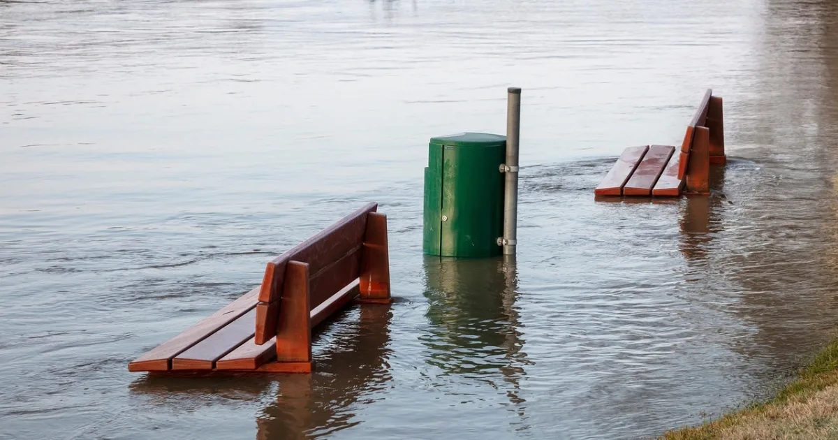 flood-affected fields.webp