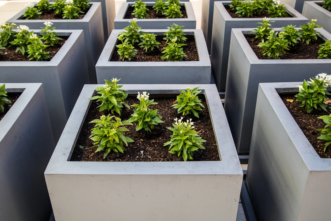 Fiberglass Planters vs Concrete: Cost, Weight & Installation Comparison