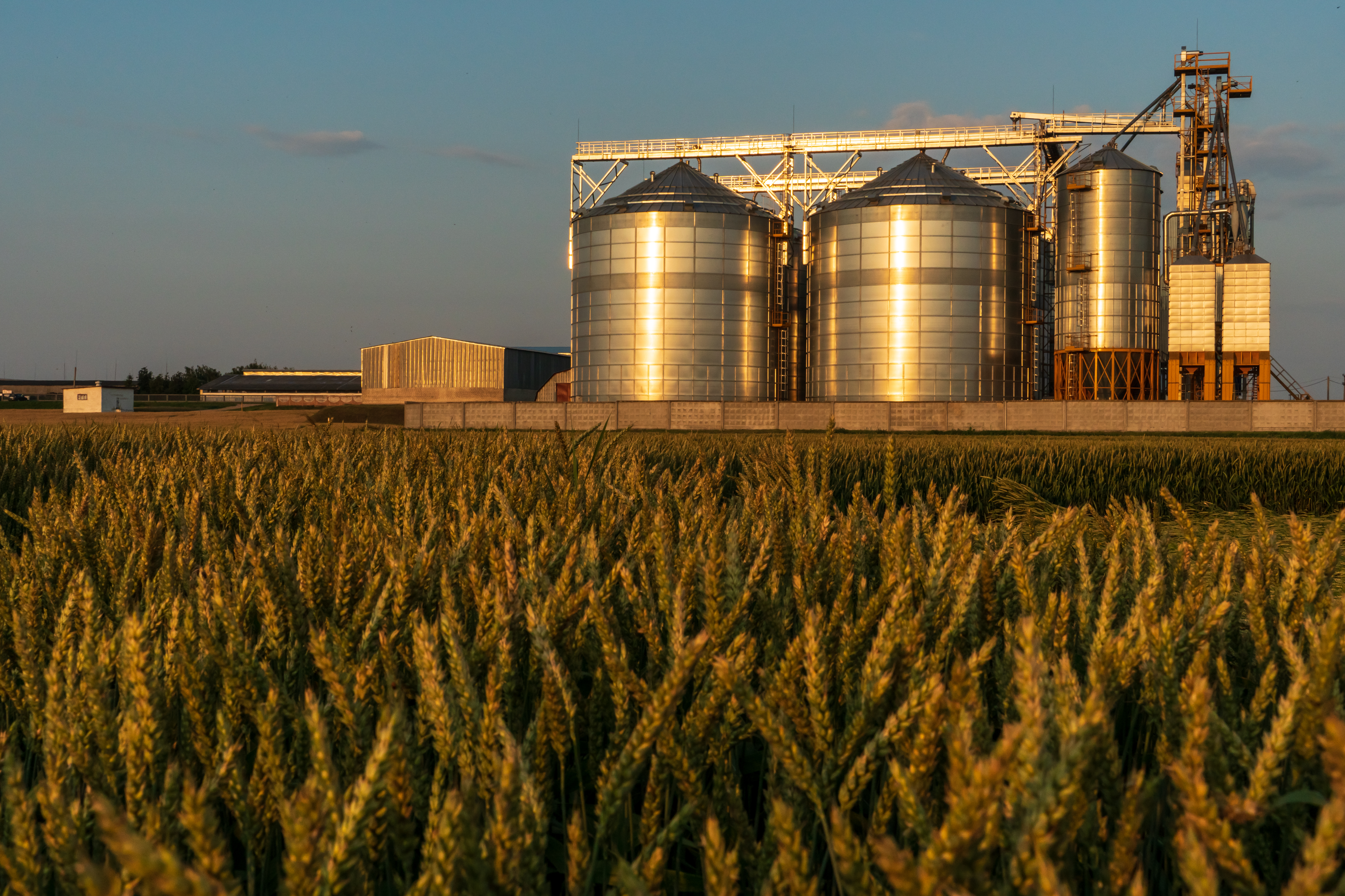 Reinventing Grain Monitoring from the Ground Up